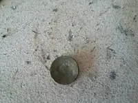 1450742288394.webp