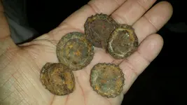 caps.webp