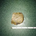 image.webp