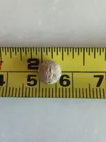 ImageUploadedByTreasureNet.com1454707613.571847.webp