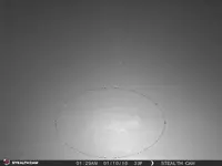 STC_0030.webp