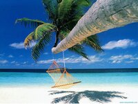 Amazing-View-Cook-Island-High-Definition-Nature-Wallpapers-77897.jpg