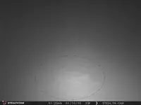 STC_0030.webp