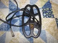 IMG_4883.webp