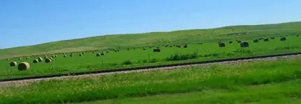 nebraska.webp