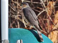 DSCN9710.webp