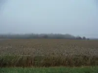 DSCF0590.webp