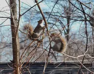 DSCN9724.webp