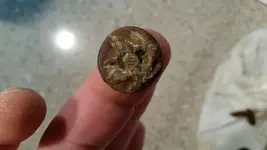 button_front.webp