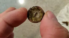button_back.webp