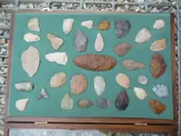 DSCN2074 (1).webp