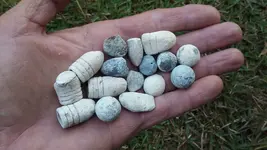 bullit5.webp