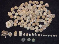 DSCN1608.webp