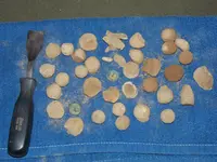 DSCN1585.webp