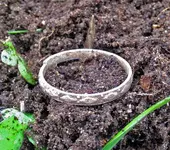 Ring.webp
