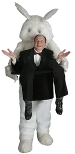 RabbitInHat.webp RabbitInHat.webp