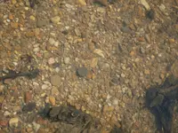 SDC11074.webp