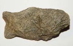DSCN1572.webp