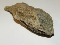 DSCN1575.webp