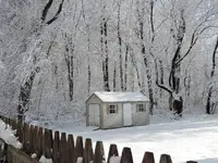 DSCN9787.webp