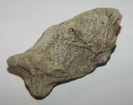 DSCN1577.webp