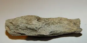 DSCN1579.webp