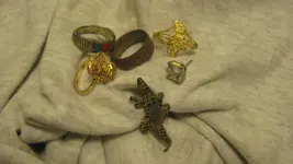 Two Gold Rings Tow Junkers Gator Pin Dec 13 2015 004.webp Two Gold Rings Tow Junkers Gator Pin Dec 13 2015 004.webp