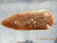 DSCN3681.webp