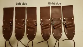 Brown Sheaths left and right.webp