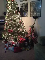 ImageUploadedByTreasureNet.com1450836076.892057.webp