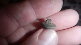 DSCN1213.webp