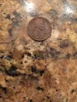 ImageUploadedByTreasureNet.com1454029616.034809.webp