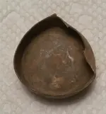 Tin Lid (b).webp