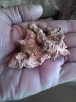 CAM00602.webp