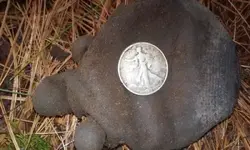 silver half.webp