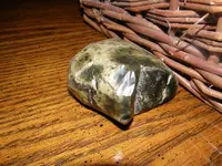 image.webp