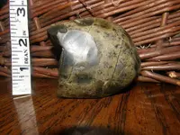 image.webp
