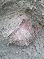 IMG-20151017-WA0001.webp