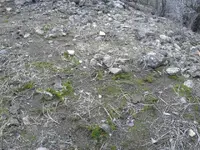 1453194177832.webp