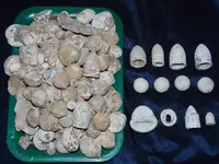 DSCN1701.webp