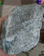 IMAG1512_1.webp