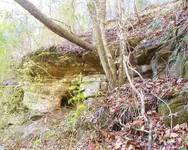 DSCN0864.webp