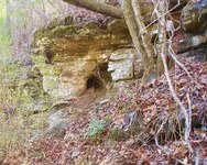 DSCN0863.webp