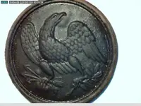 plate1.webp