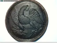 plate7.webp