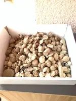 ImageUploadedByTreasureNet.com1454083747.986788.webp