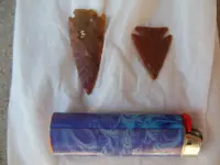 DSCN1117.webp