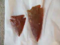 DSCN1121.webp