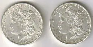 morgans (2).webp