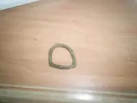 S4021901.webp